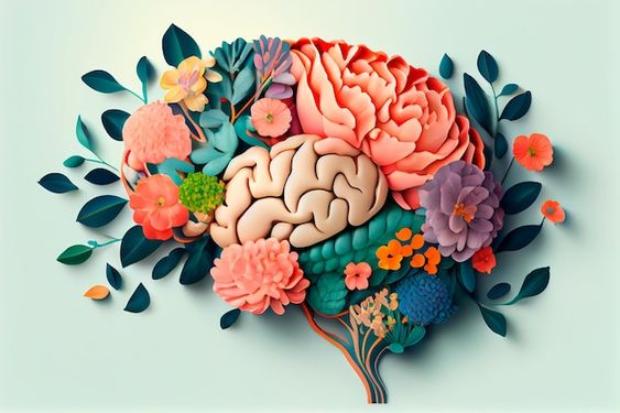Как поддержать здоровье головного мозга?