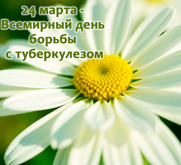 Круглый стол на кафедре фтизиатрии на английском языке, по-свящённый Всемирному дню борьбы с туберкулёзом Круглый стол на кафедре фтизиатрии на английском языке, по-свящённый Всемирному дню борьбы с туберкулёзом
