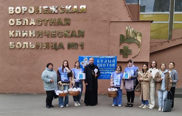Итоги акции «Белый цветок»
