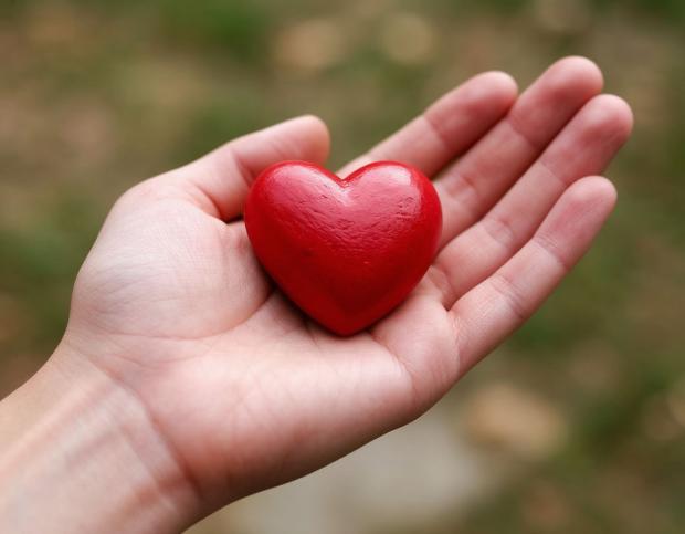 Интернет-проект «Вестник ЗОЖ». 10 фактов про сердце