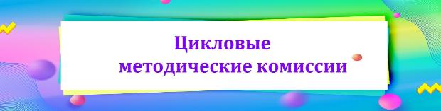 Состоялось заседание цикловой методической комиссии по координации преподавания дисциплин ООП «Лечебное дело» (на английском языке)