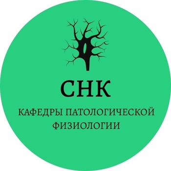 Итоговое заседание СНК кафедры патологической физиологии в 2023-2024 уч. году
