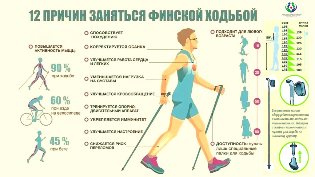 skandinavskaya-hodba-2023-1.jpg