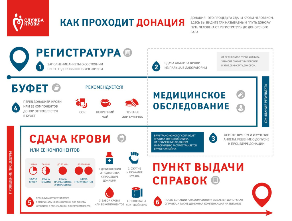 Инфографика-Как-проходит-донация.jpg