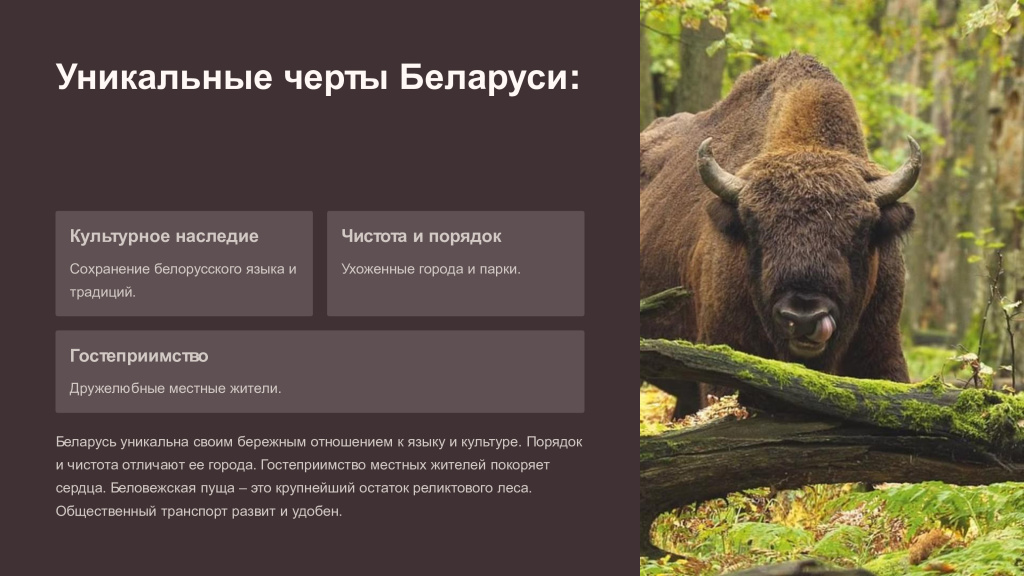 рисунок 8.jpg рисунок 8.jpg