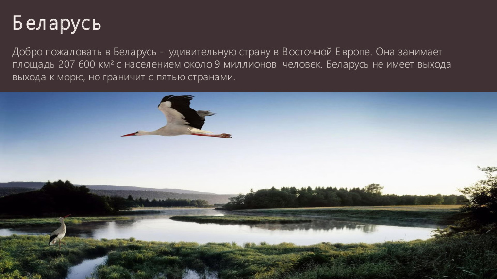 рисунок 1.jpg рисунок 1.jpg