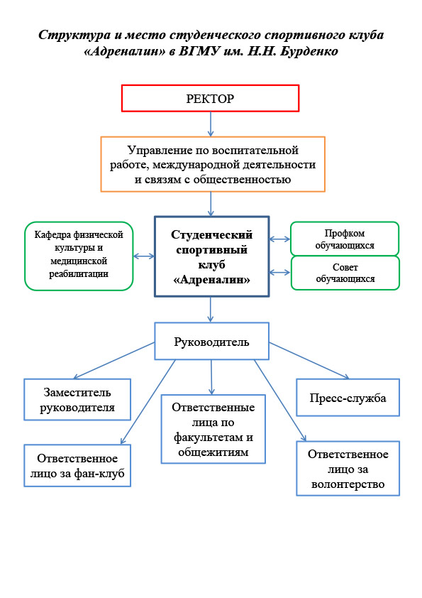 Структура