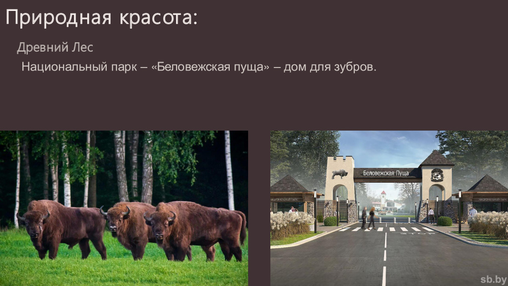 рисунок 2.jpg рисунок 2.jpg