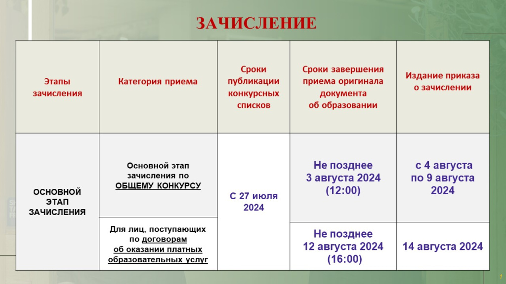 На сайт 09.08.2024.jpg